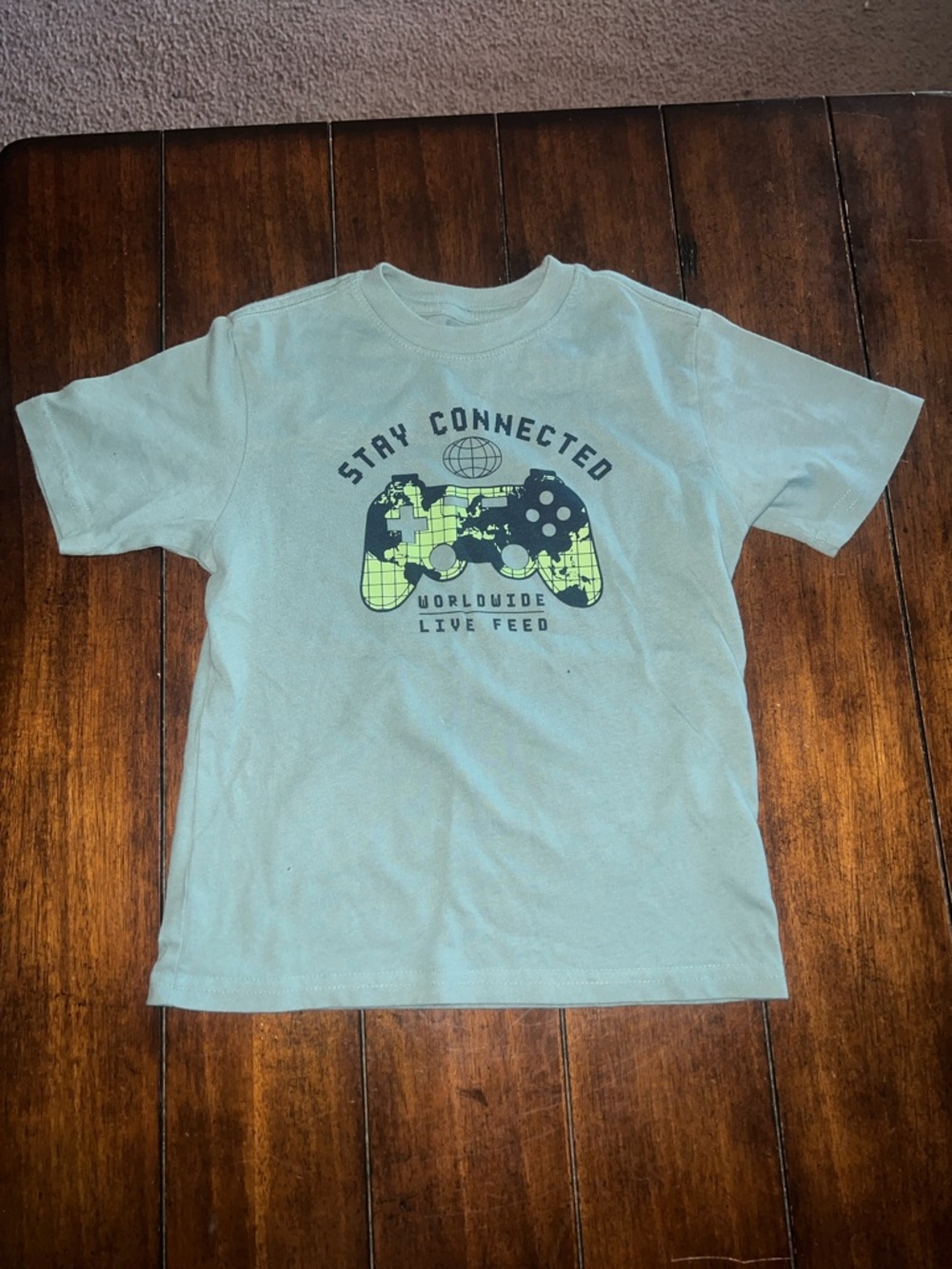 🎉🎉 5 for $20🎉🎉Stay Connected Gamer Graphic Tee - Light Green